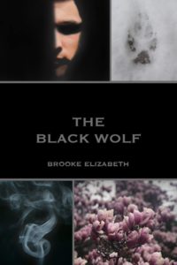 Read more about the article The Black Wolf (The Wolf Duology Book 1)- Brooke Elizabeth