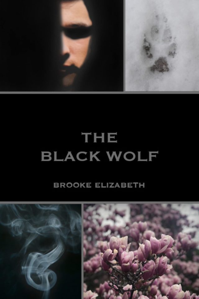 The Black Wolf (The Wolf Duology Book 1)- Brooke Elizabeth